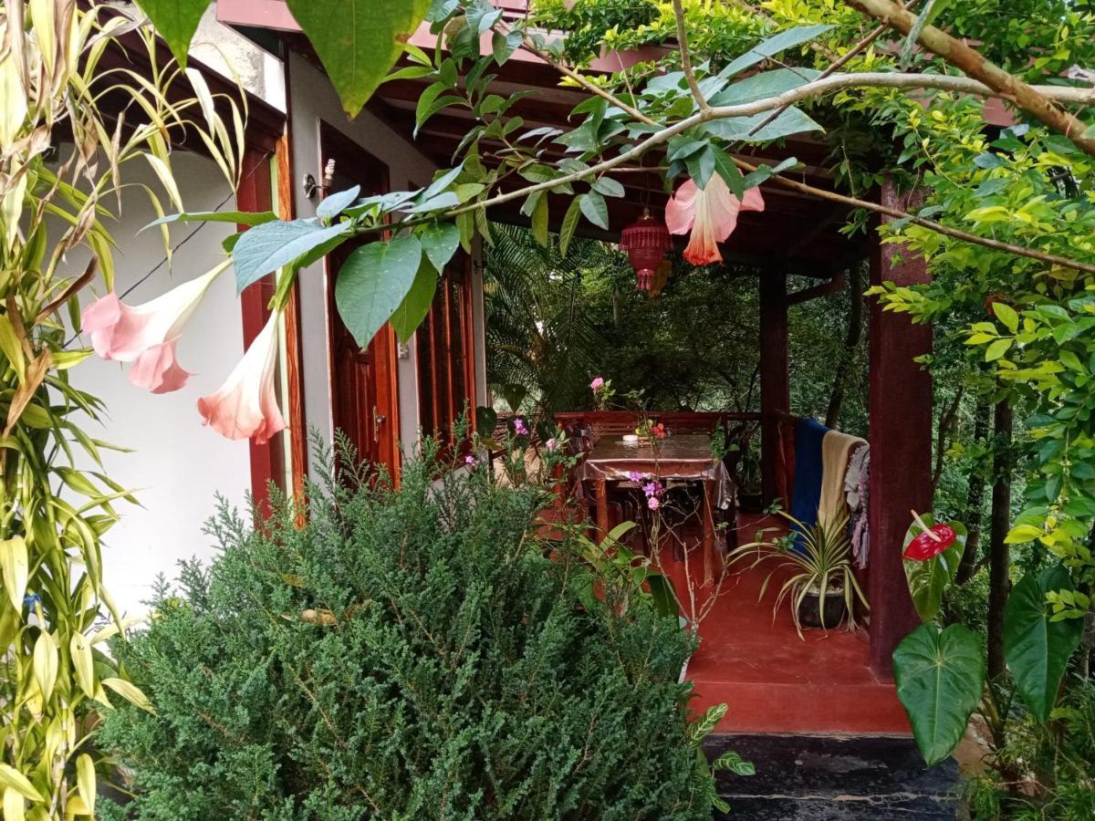 Littleadems View Bed & Breakfast Ella Luaran gambar